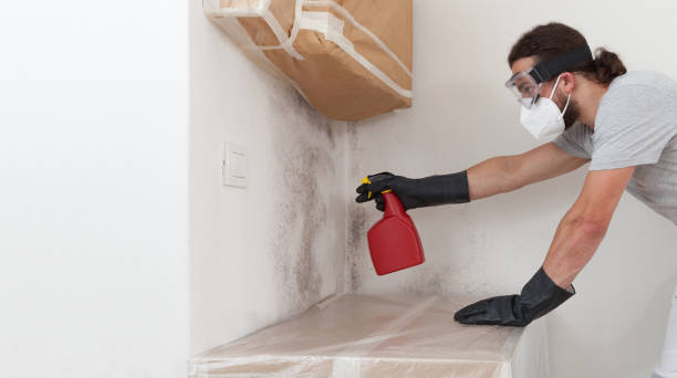 Professional Mold Remediation technician working in Chesterfield, NJ