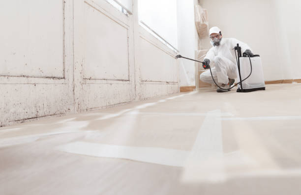 24/7 Emergency Mold Remediation experts in Chesterfield, NJ