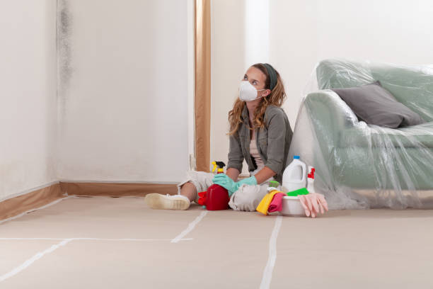 Reliable Mold Remediation contractor in Chesterfield, NJ by Cheap Mold Removal