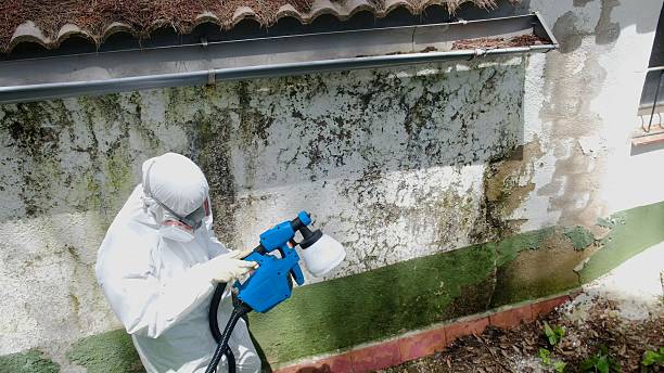 Top rated local Mold Remediation specialists in Chesterfield, NJ